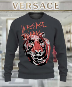 New 2024, V  Sweater , Sweatshirt  –  Max011284