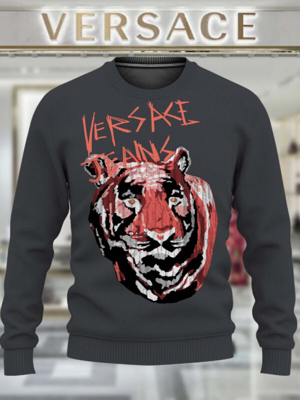 New 2024, V  Sweater , Sweatshirt  –  Max011284