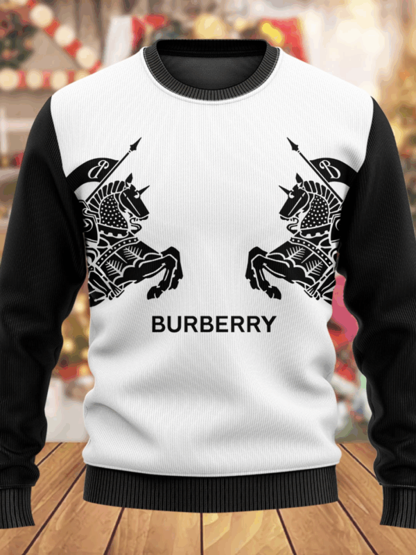 New 2024, B  Sweater , Sweatshirt  – Max010940