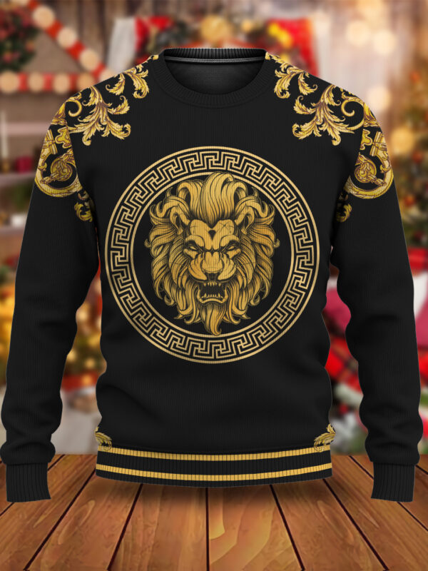 New 2024, V  Sweater , Sweatshirt  – DN26251001