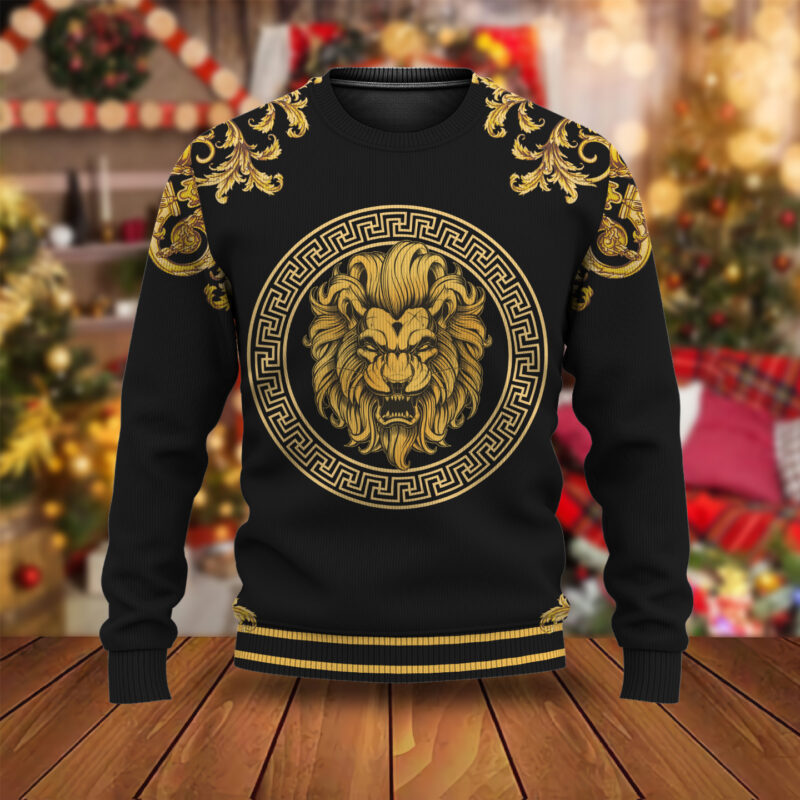 New 2024, V  Sweater , Sweatshirt  – DN26251001
