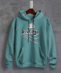 New 2025,B-  Premium Hoodie – Max2408072800