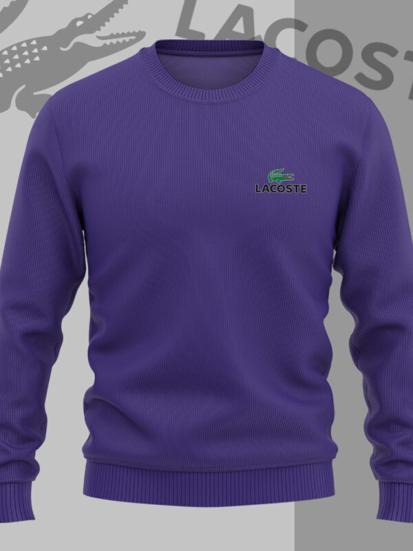 New 2025,   Sweater & Sweatshirt  for men women luxury brand clothing clothes outfit -Max2410024890