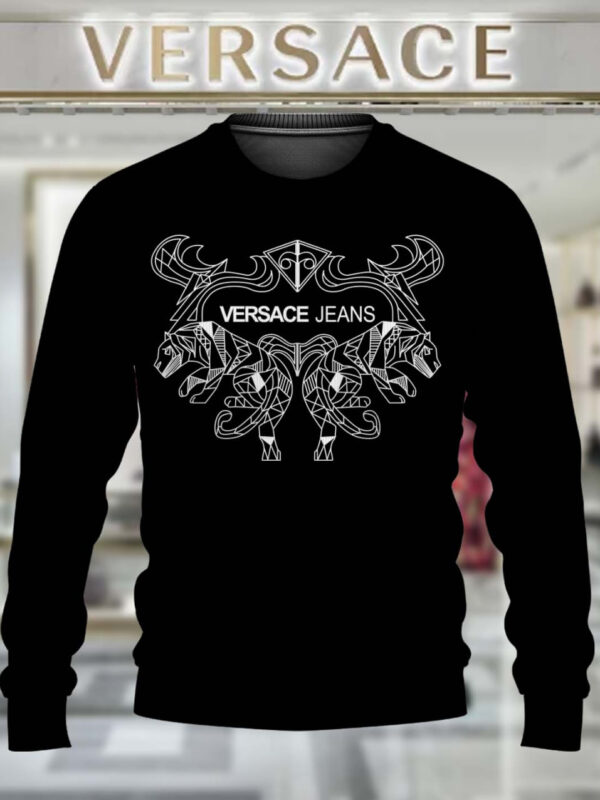 New 2024, V  Sweater , Sweatshirt  –  Max011283
